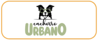 cachorro